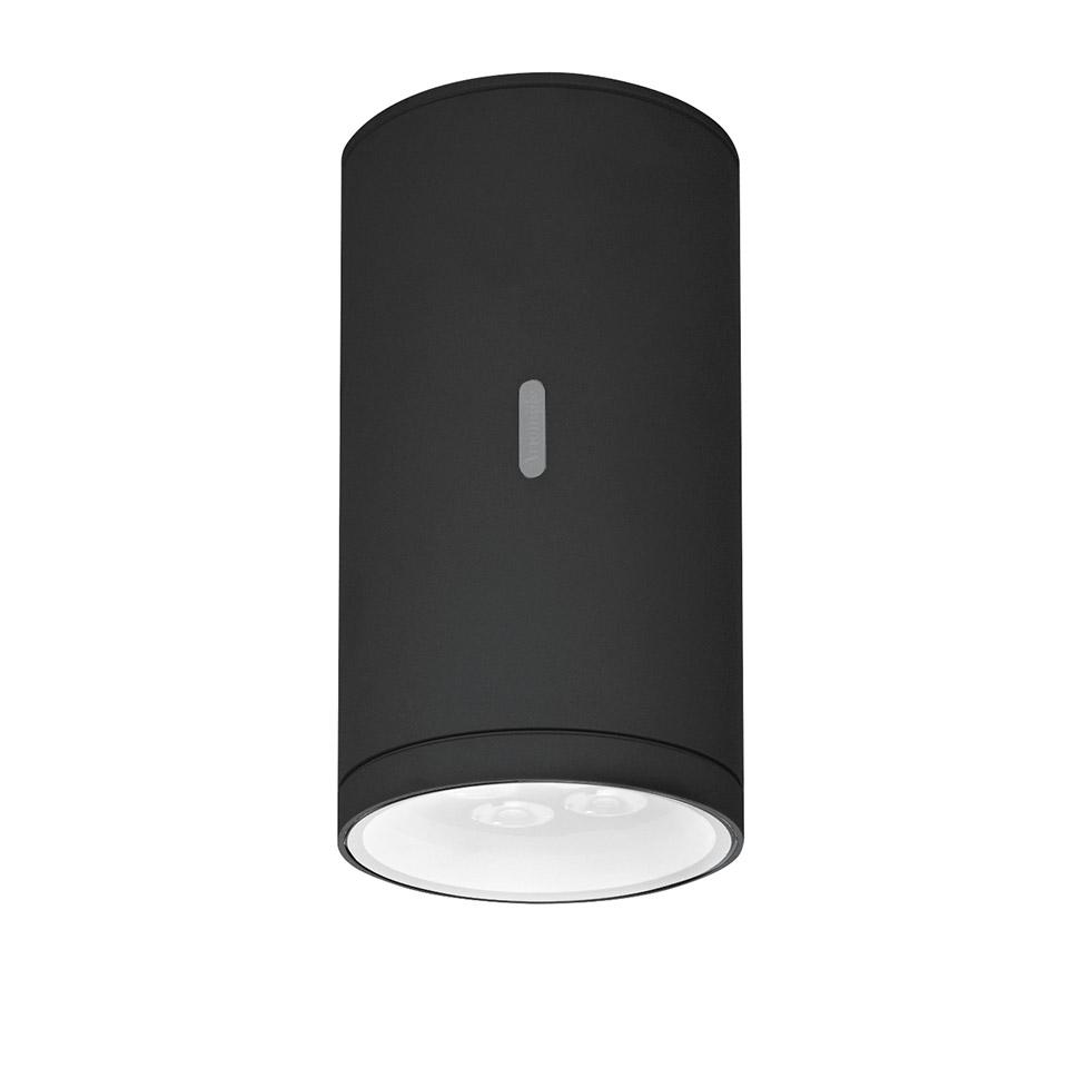 Artemide Calumet Outdoor Ceiling Light