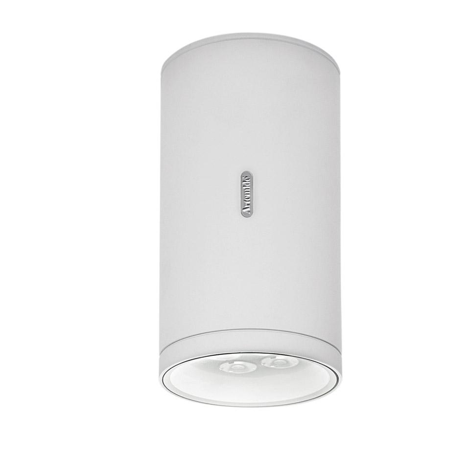 Artemide Calumet Outdoor Ceiling Light
