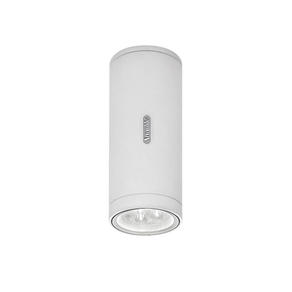 Artemide Calumet Outdoor Ceiling Light