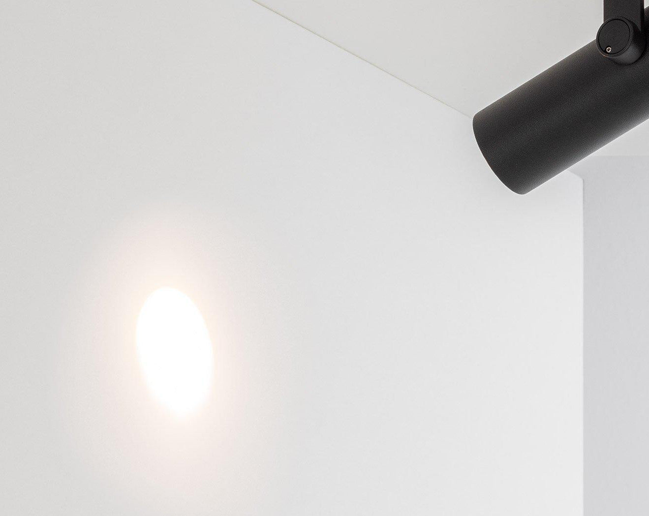 Artemide Coherence Outdoor Spotlight Light