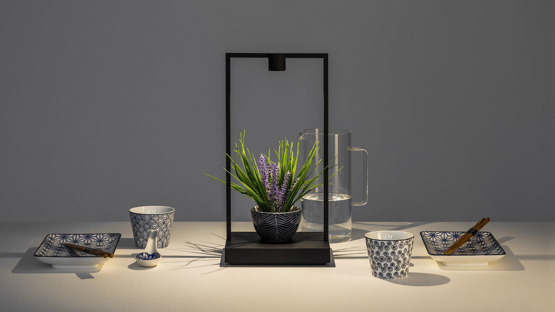 Artemide Curiosity Table Lamp