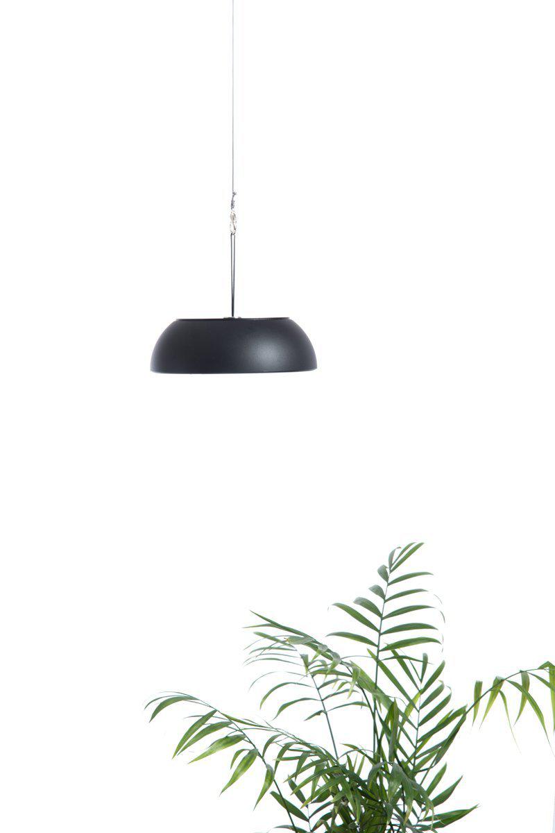 AxoLight Float Portable Lamp