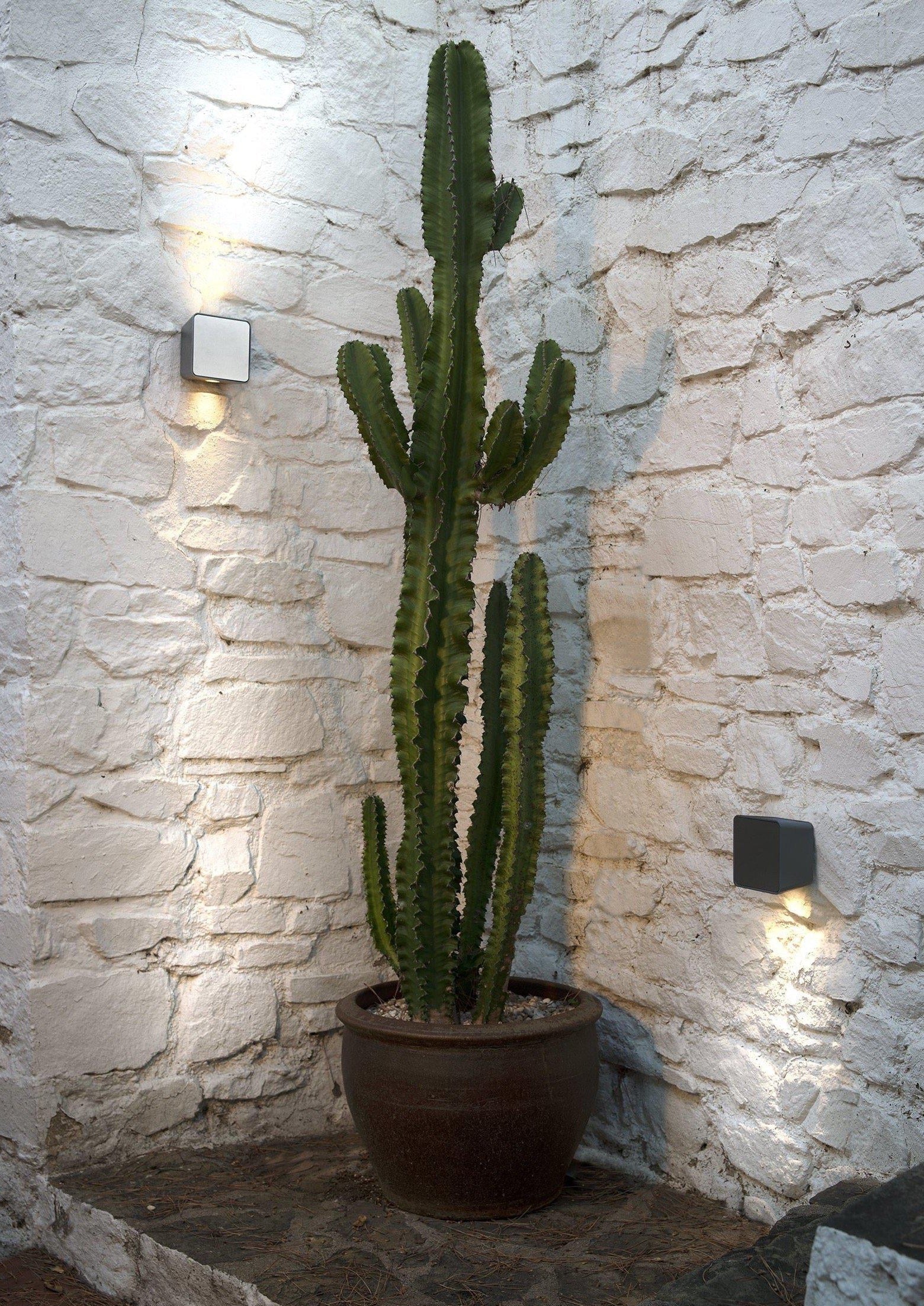 Marset Lab Outdoor Wall Light